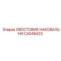 CA048423 ХВОСТОВИК НАКОВАЛЬНИ Epiroc