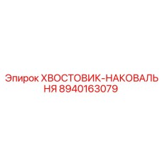 8940163079 ХВОСТОВИК-НАКОВАЛЬНЯ Epiroc