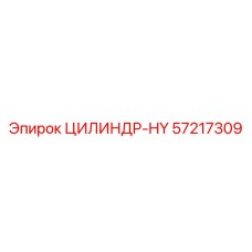 57217309 ЦИЛИНДР-HY Epiroc