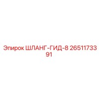 2651173391 ШЛАНГ-ГИД-8 Epiroc