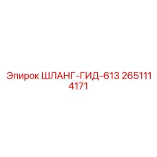 2651114171 ШЛАНГ-ГИД-613 Epiroc