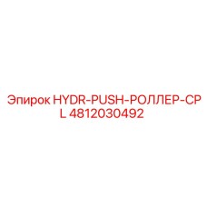 4812030492 HYDR-PUSH-РОЛЛЕР-CPL Epiroc