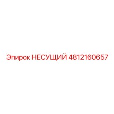4812160657 НЕСУЩИЙ Epiroc