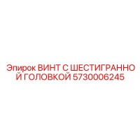 5730006245 ВИНТ С ШЕСТИГРАННОЙ ГОЛОВКОЙ Epiroc