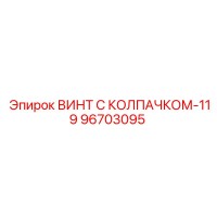 96703095 ВИНТ С КОЛПАЧКОМ-119 Epiroc