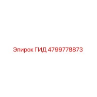4799778873 ГИД Epiroc