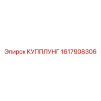 1617908306 КУППЛУНГ Epiroc