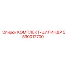 5530012700 КОМПЛЕКТ-ЦИЛИНДР Epiroc