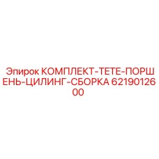6219012600 КОМПЛЕКТ TETE ПОРШЕНЬ ЦИЛИНГ СБОРКА Epiroc