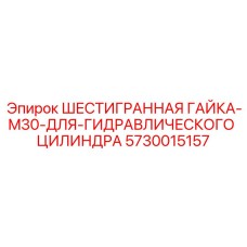 5730015157 ШЕСТИГРАННАЯ ГАЙКА-M30-ДЛЯ-ГИДРАВЛИЧЕСКОГО ЦИЛИНДРА Epiroc