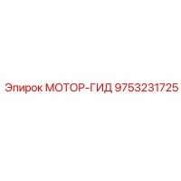 9753231725 МОТОР-ГИД Epiroc