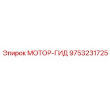 9753231725 МОТОР-ГИД Epiroc