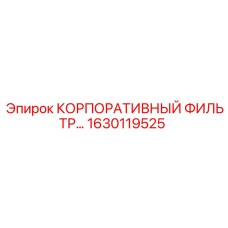 1630119525 КОРПОРАТИВНЫЙ ФИЛЬТР Epiroc