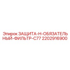 2202916900 ЗАЩИТА-H-ОБЯЗАТЕЛЬНЫЙ-ФИЛЬТР-C77 Epiroc