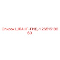 2651518660 ШЛАНГ-ГИД-1 Epiroc