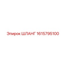1615795100 ШЛАНГ Эпирок