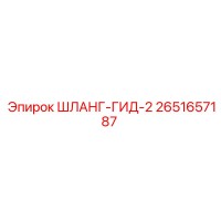 2651657187 ШЛАНГ-ГИД-2 Epiroc