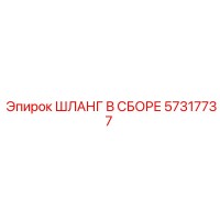 57317737 ШЛАНГ В СБОРЕ Epiroc
