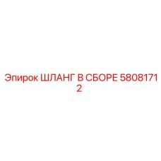58081712 ШЛАНГ В СБОРЕ Epiroc
