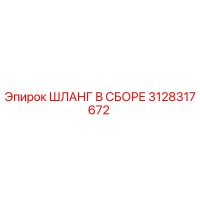 3128317672 ШЛАНГ В СБОРЕ Эпирок