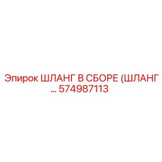 574987113 ШЛАНГ В СБОРЕ (ШЛАНГ…) Epiroc