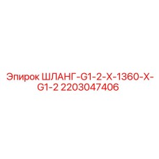 2203047406 ШЛАНГ-G1-2-X-1360-X-G1-2 Epiroc