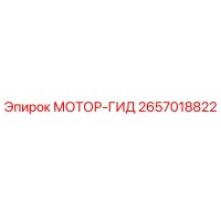 2657018822 МОТОР-ГИД Epiroc