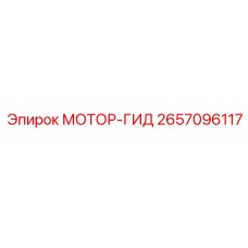 2657096117 МОТОР-ГИД by Epiroc