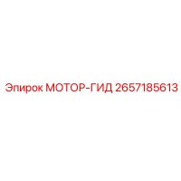 2657185613 МОТОР-ГИД Epiroc