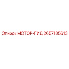2657185613 МОТОР-ГИД Epiroc
