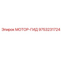 9753231724 МОТОР-ГИД Epiroc