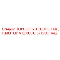 3719001442 ПОРШЕНЬ В СБОРЕ, ГИДР.МОТОР V12 60CC Epiroc