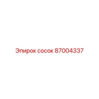 87004337 сосок Epiroc