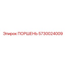 5730024009 ПОРШЕНЬ Epiroc