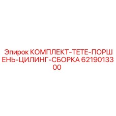 6219013300 КОМПЛЕКТ TETE ПОРШЕНЬ ЦИЛИНГ СБОРКА Epiroc