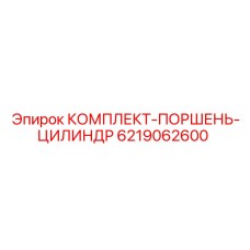 6219062600 КОМПЛЕКТ-ПОРШЕНЬ-ЦИЛИНДР Epiroc