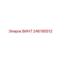 246195512 ВИНТ Epiroc