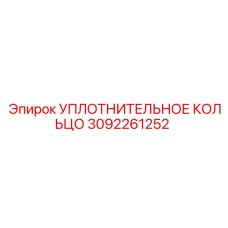 3092261252 УПЛОТНИТЕЛЬНОЕ КОЛЬЦО Эпирок