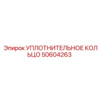 50604263 УПЛОТНИТЕЛЬНОЕ КОЛЬЦО Epiroc