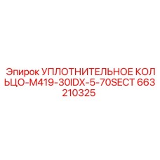 663210325 УПЛОТНИТЕЛЬНОЕ КОЛЬЦО-M419-30IDX-5-70SECT Epiroc
