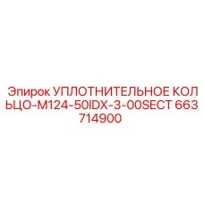 663714900 УПЛОТНИТЕЛЬНОЕ КОЛЬЦО-M124-50IDX-3-00SECT Epiroc