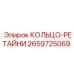 2659725069 КОЛЬЦО-РЕТАЙНИ Epiroc