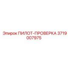 3719007975 ПИЛОТ-ПРОВЕРКА Epiroc