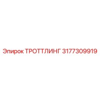3177309919 ТРОТТЛИНГ Epiroc