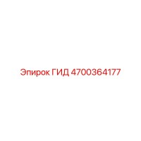 4700364177 - ГИД (Epiroc)