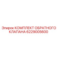 6229005600 КОМПЛЕКТ ОБРАТНОГО КЛАПАНА Epiroc