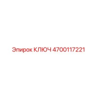 4700117221 КЛЮЧ Epiroc