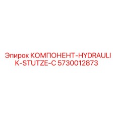 5730012873 КОМПОНЕНТ-HYDRAULIK-STUTZE-C Epiroc