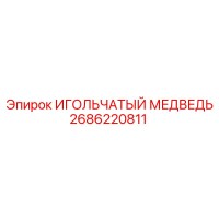 2686220811 ИГОЛЬЧАТЫЙ МЕДВЕДЬ Epiroc