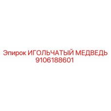 9106188601 ИГОЛЬЧАТЫЙ МЕДВЕДЬ Epiroc